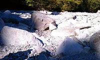 トーナル岩と言われる花崗岩の仲間の岩石がたくさん落ちていました