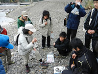 日高川河川敷で砂レキの観察