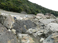 この場所では、明瞭な地層とともに、断層が数カ所に見られます