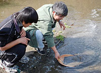 重鉱物の集め方の見本