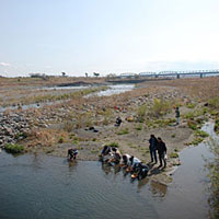 気持ちの良い調査日和