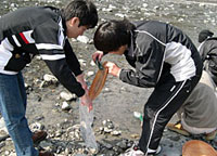 富士川の重鉱物を無事採取
