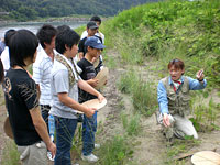 木曽川の砂に含まれる鉱物を調べるための試料を採取します