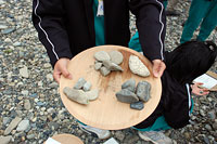 礫の分類にも慣れ、堆積岩(砂岩、泥岩、チャート)、火成岩についても見分けられるようになりました