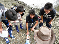 ここ木曽川鵜沼地域では、世界的に有名な二畳紀/三畳紀の境界（約2億5000万年前）付近の露頭が観察できます