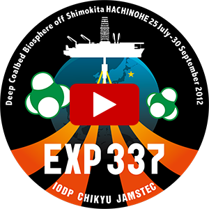 exp337