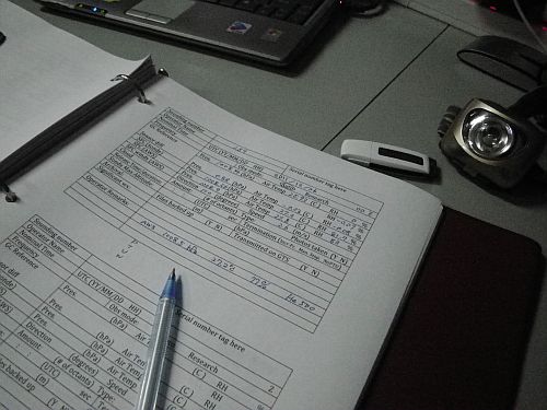 BLOG_PHOTO