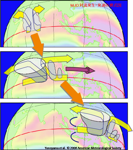 schematic_mjo