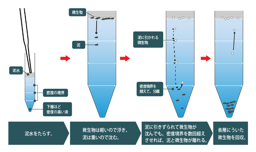 図版:地底の泥の中から微生物だけを取り出す方法の説明