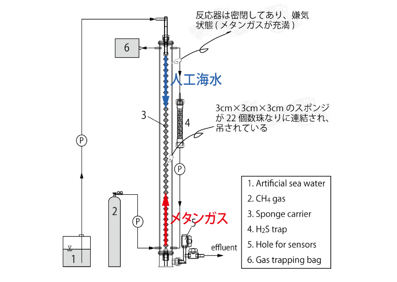 図版:海底下の微生物を「下降流懸垂型スポンジリアクター」（通称「DHSリアクター」）を使って培養するシステムの説明