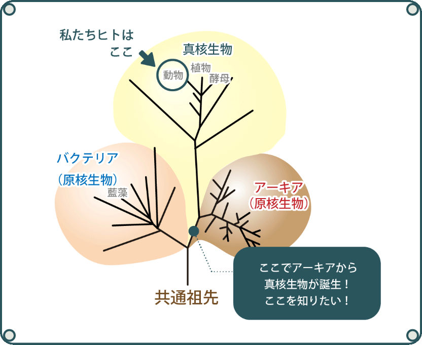 図版:井町1