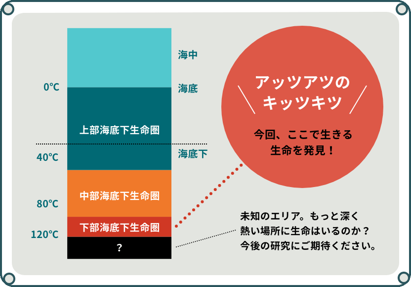 図版:稲垣5