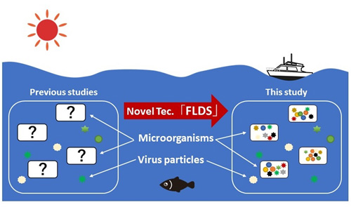 fig4