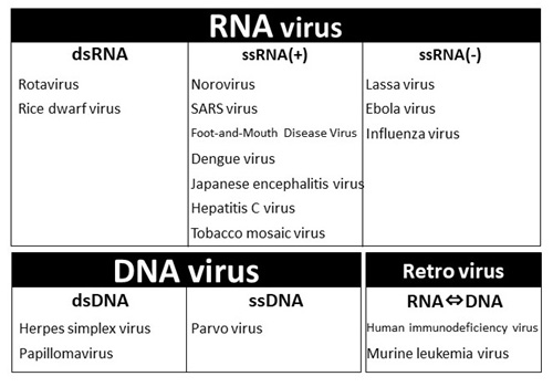 fig6