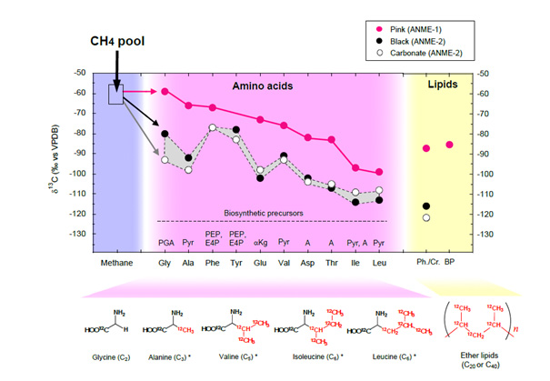 fig2