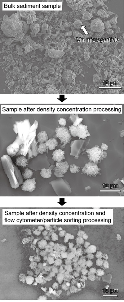 fig5