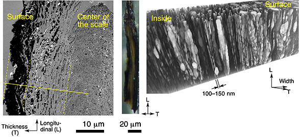 fig3