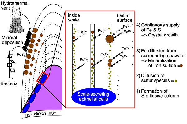 fig4