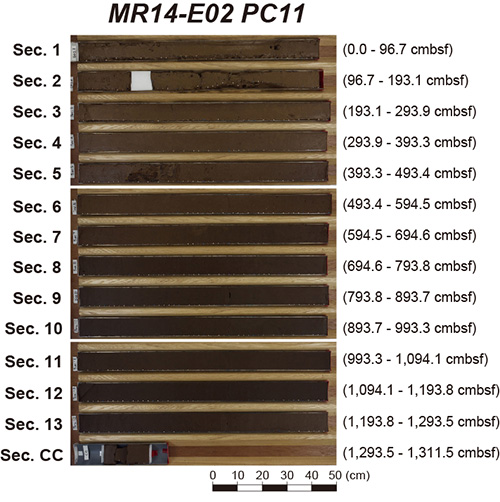 fig2