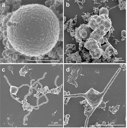 fig.2