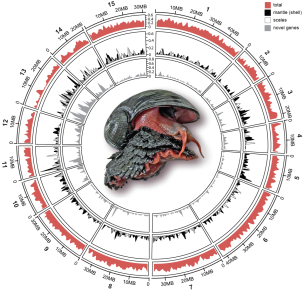 fig.1