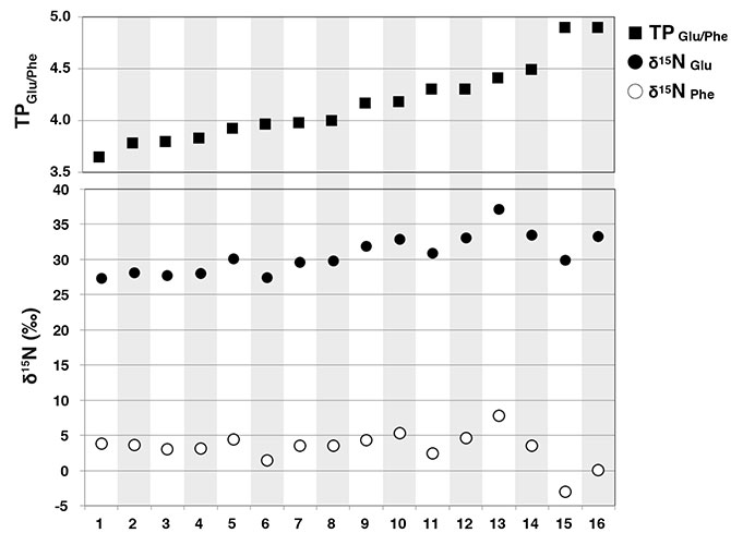 fig.3