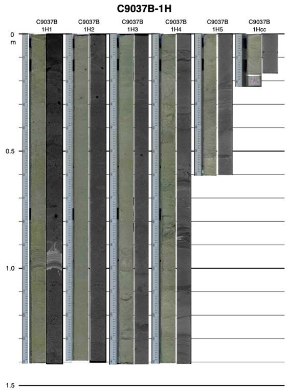 fig.2
