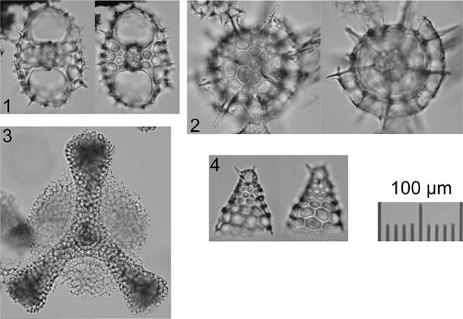fig.5