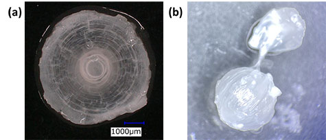 fig.1