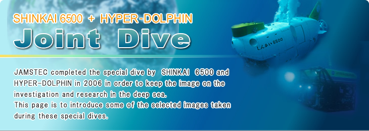 SHINKAI 6500 + HYPER-DOLPHIN:joint dive