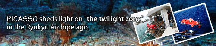 PICASSO sheds light on “the twilight zone” in the Ryukyu Archipelago.