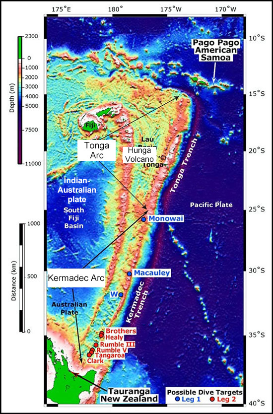 fig1