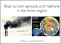 Black carbon aerosols and methane in the Arctic region: activity plan of IACE geochemical cycle research unit