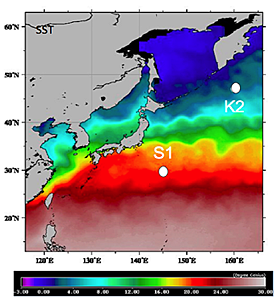 Figure 4. Time-series stations K2 and S1