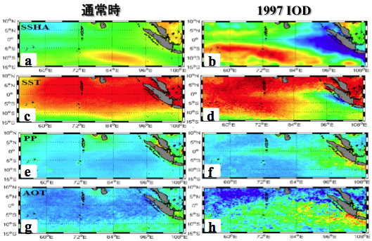 図2. インド洋赤道域の通常時と1997年ダイポールモード発生時の海洋と大気の状況。 (a) , (b) 海面高度 SSHA、 (c) , (d) 表面水温AVHRR SST、 (e), (f) 衛星データで見積もった一次生産力PP、 (g), (h) SeaWiFS エアロゾル光学厚さ(AOT)。