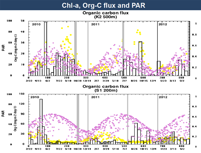 図3 PAR(紫), chl-a(黄色)および有機炭素フラックス(棒グラフ)。(上図)K2 500m、(下図)S1 200m
