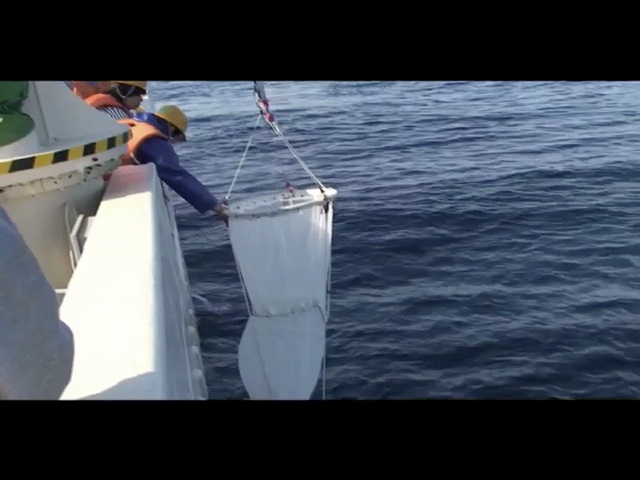 生きている(有) 浮遊性有孔虫データベース＜国立研究開発法人海洋研究開発機構