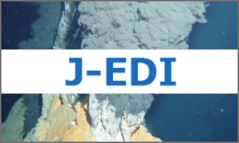 J-EDI