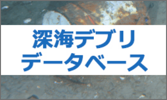 深海デブリデータベース