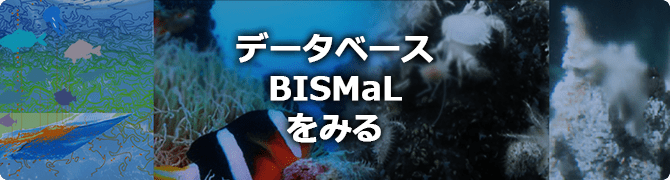 データベース　BISMaL をみる