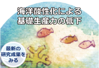 海洋酸性化による基礎生産力の低下