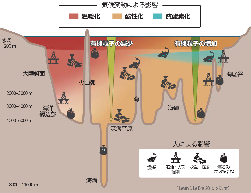 気候変動による影響