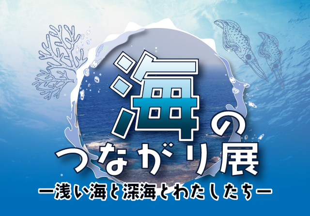 海洋観測が支える北極域研究