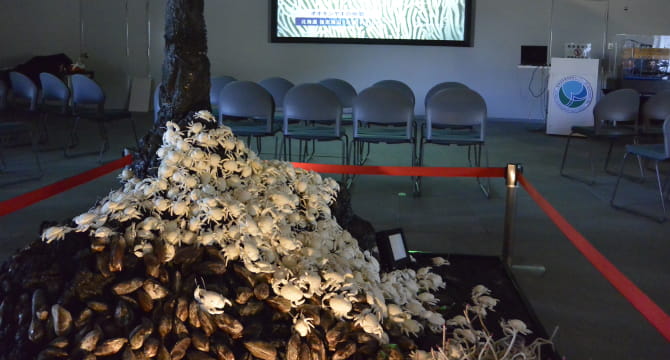 化学合成生態系模型