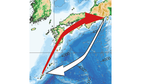 沖縄から飛行機で清水港へ、そして「ちきゅう」で沖縄へ