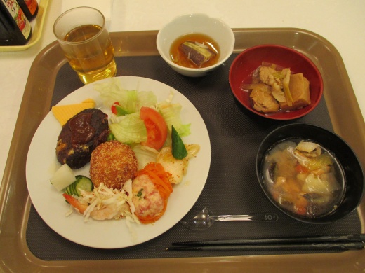 こんな食事を頂いています