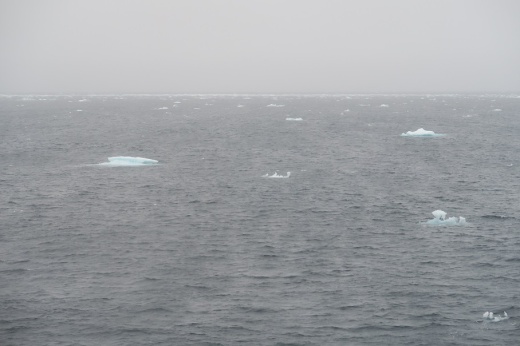 流氷の中を航行中