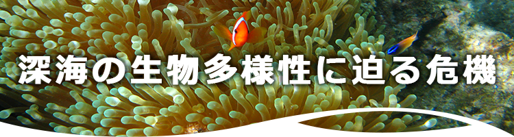 深海の生物多様性に迫る危機