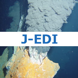 J-EDI