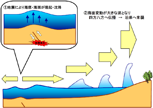 津波の参考写真